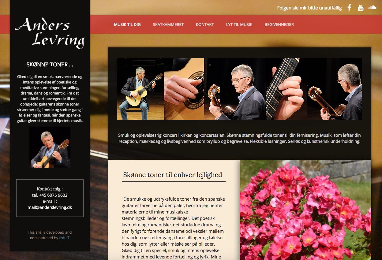 Musiker Anders Levring
